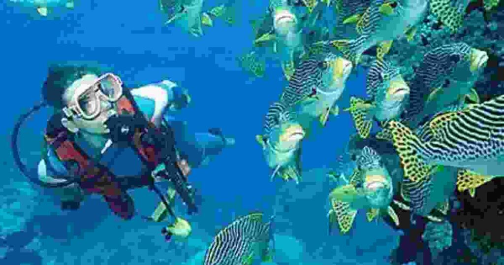 Andaman Nicobar Scuba Diving